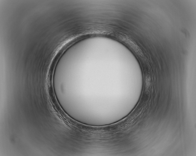 X0000113150628200909040933