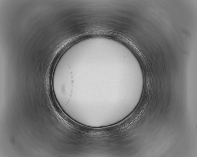 X0000113150629200909040933