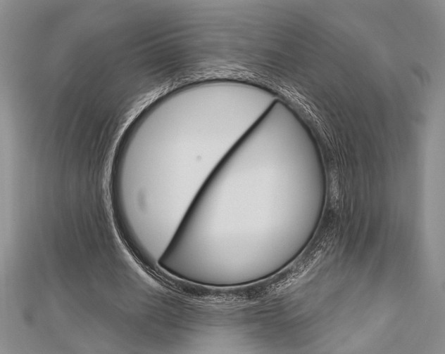 X0000113150630200909040933