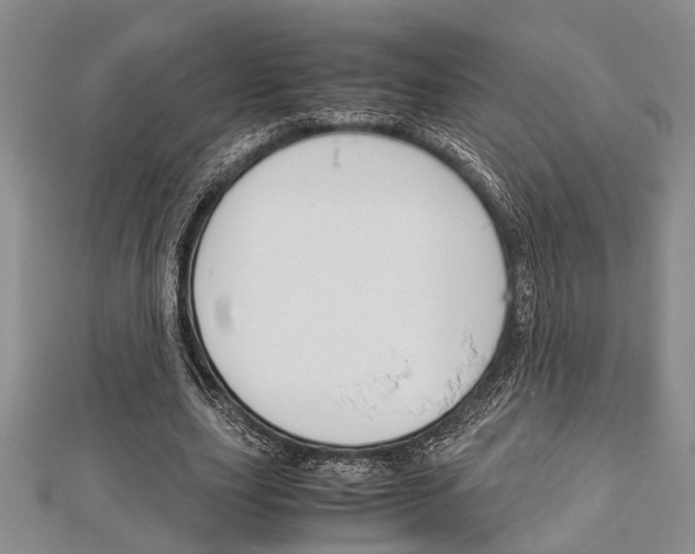 X0000113150631200909040933