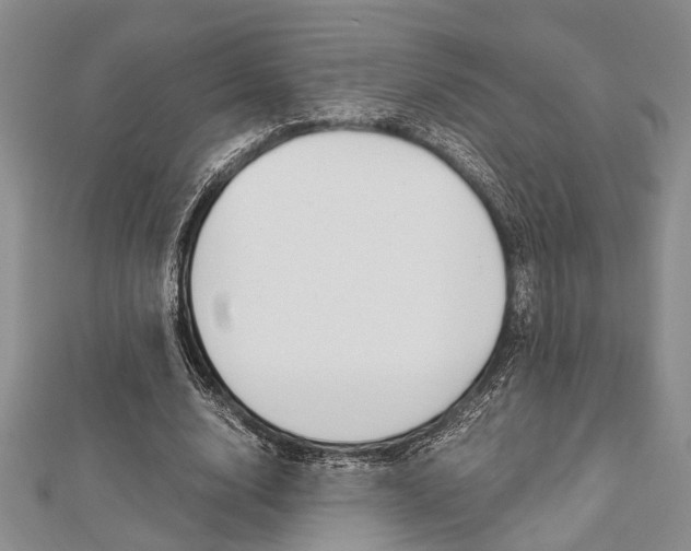 X0000113150632200909040933