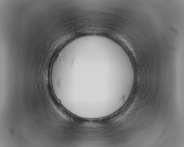 X0000113150633200909040933