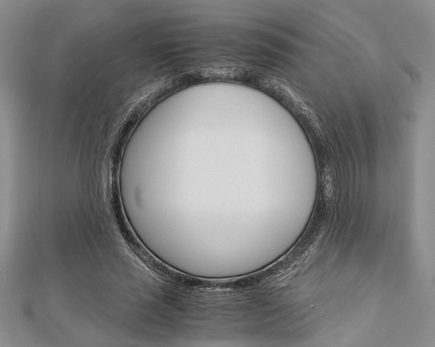 X0000113150637200909040933
