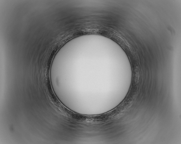 X0000113150641200909040933