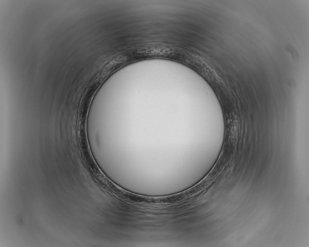 X0000113150643200909040933