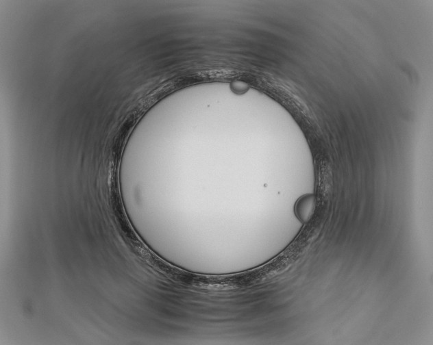 X0000113150645200909040933