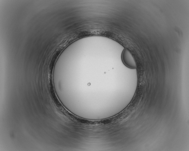 X0000113150646200909040933