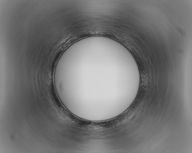 X0000113150648200909040933