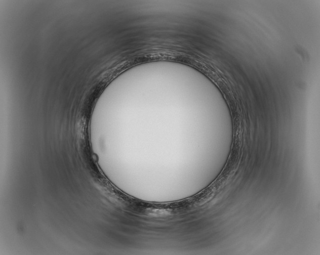 X0000113150649200909040933