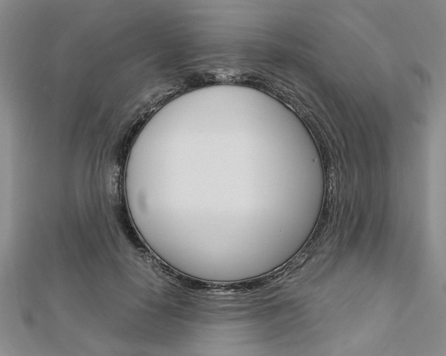 X0000113150650200909040933
