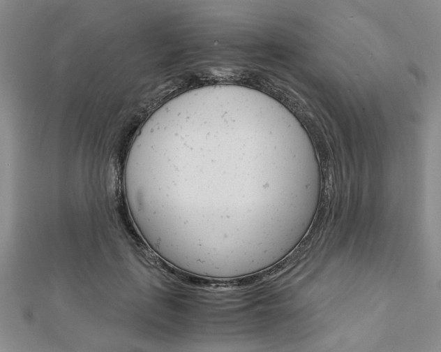 X0000113150651200909040933