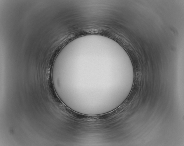 X0000113150652200909040933