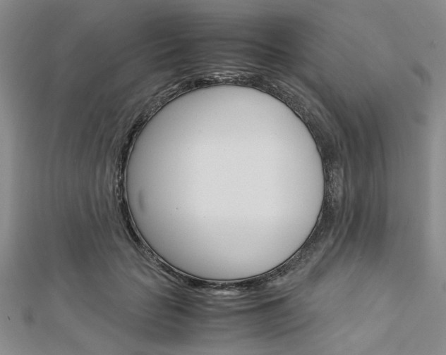 X0000113150653200909040933