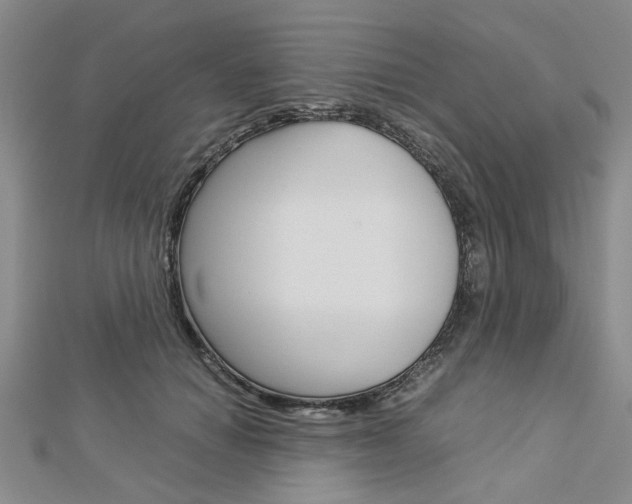 X0000113150654200909040933