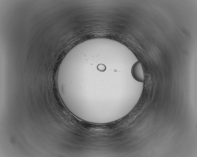 X0000113150655200909040933