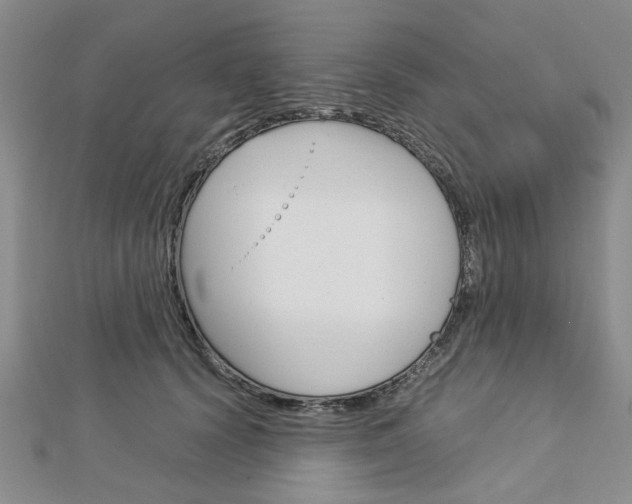 X0000113150656200909040933
