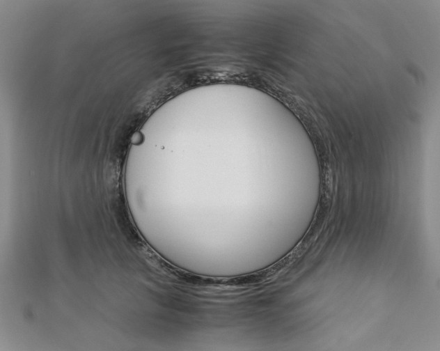 X0000113150657200909040933