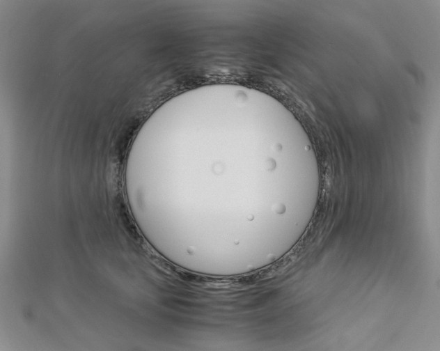 X0000113150659200909040933