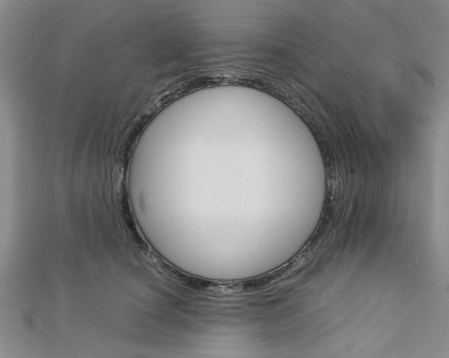 X0000113150660200909040933