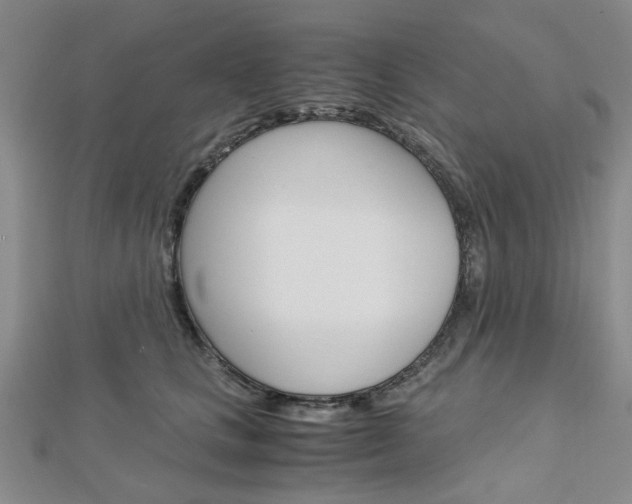 X0000113150661200909040933