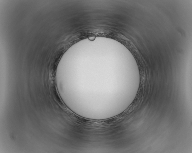 X0000113150663200909040933