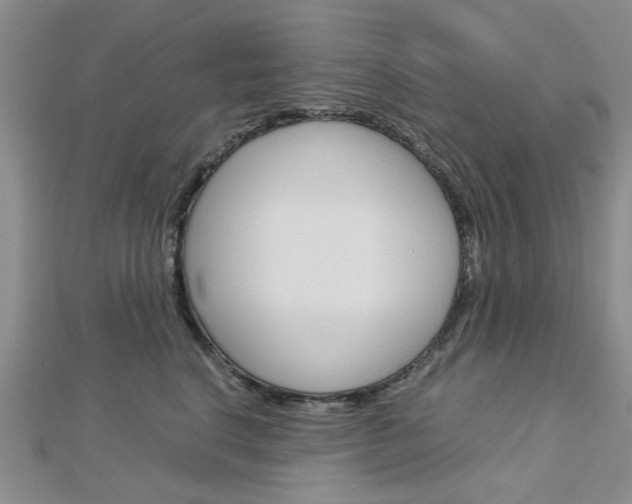 X0000113150664200909040933