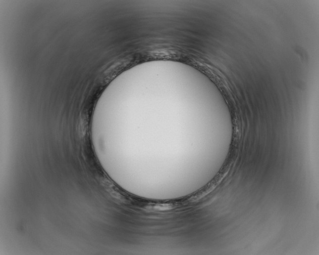 X0000113150665200909040933