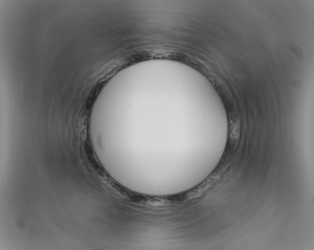 X0000113150666200909040933