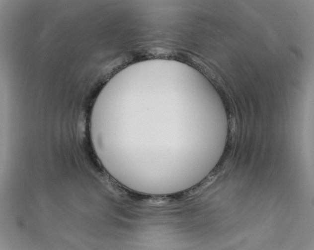 X0000113150668200909040933