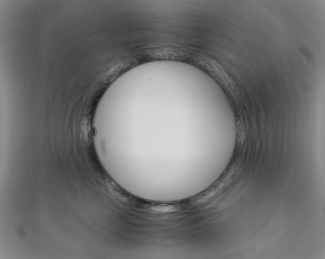 X0000113150669200909040933