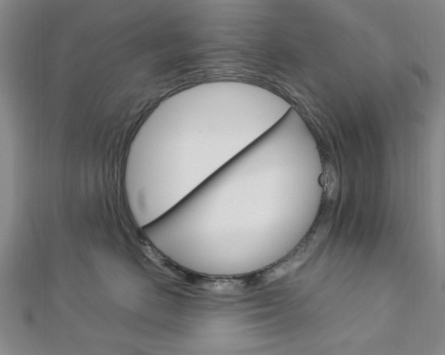 X0000113150670200909040933