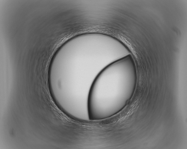 X0000113150673200909040933
