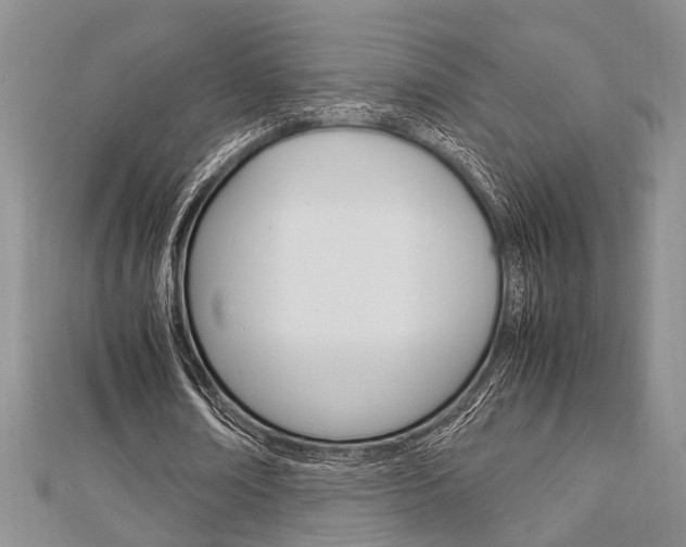 X0000113150674200909040933