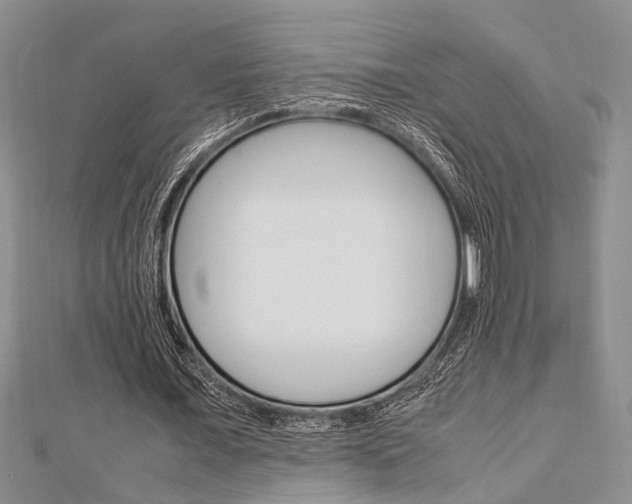 X0000113150675200909040932