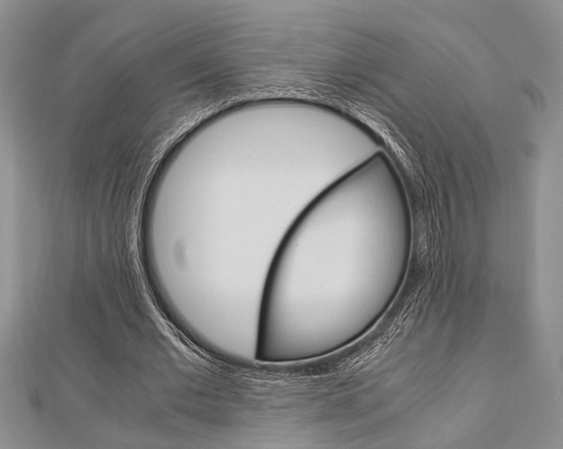 X0000113150677200909040932