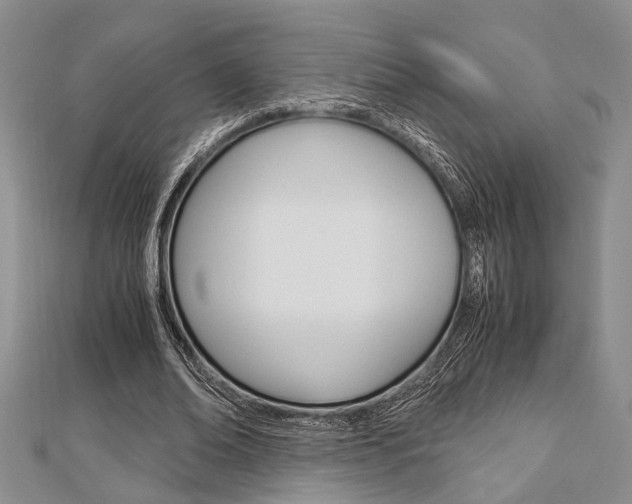 X0000113150678200909040932