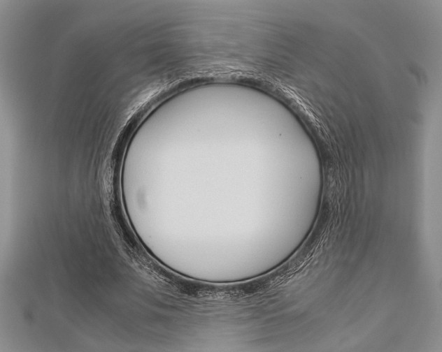 X0000113150679200909040932