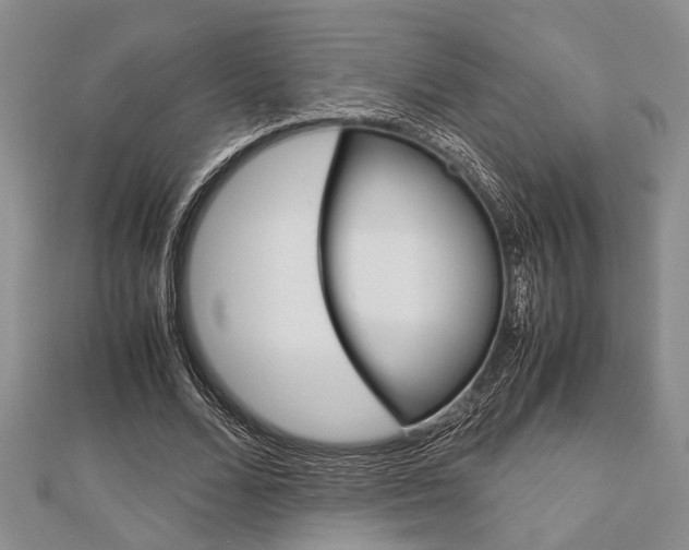X0000113150680200909040932