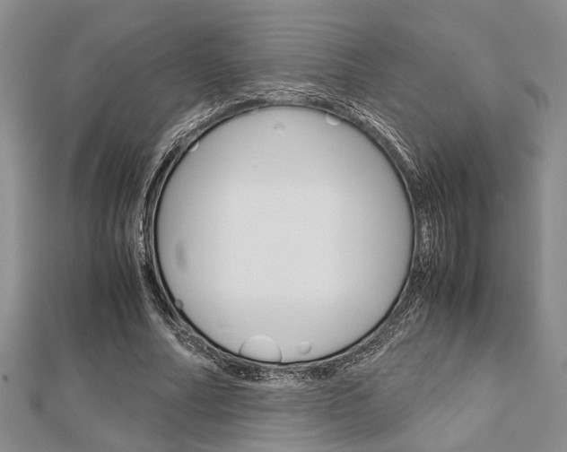 X0000113150682200909040932