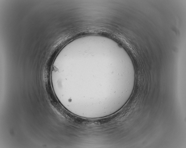 X0000113150683200909040932