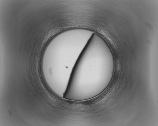 X0000113150685200909040932