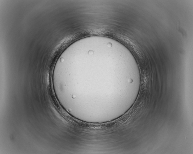 X0000113150686200909040932