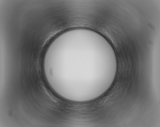 X0000113150688200909040932