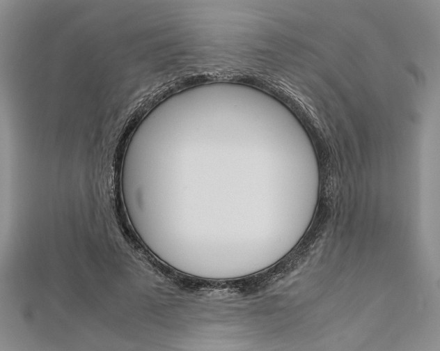 X0000113150689200909040932