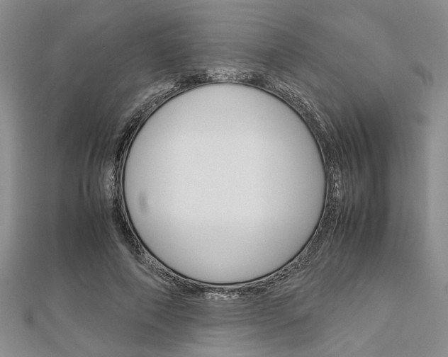 X0000113150690200909040932