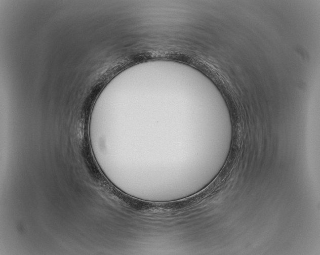 X0000113150691200909040932
