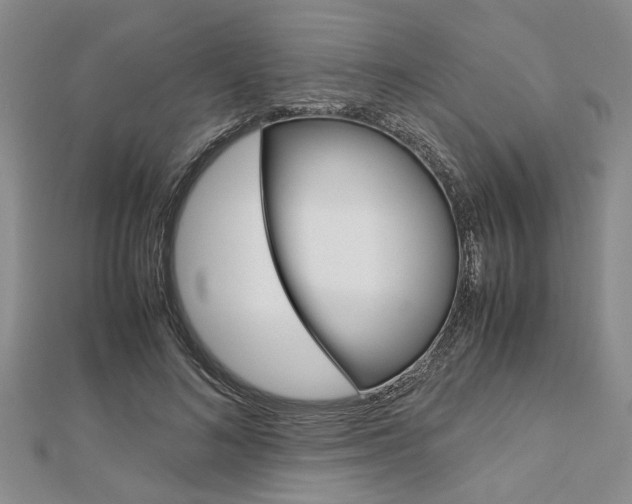 X0000113150692200909040932