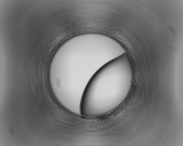 X0000113150693200909040932