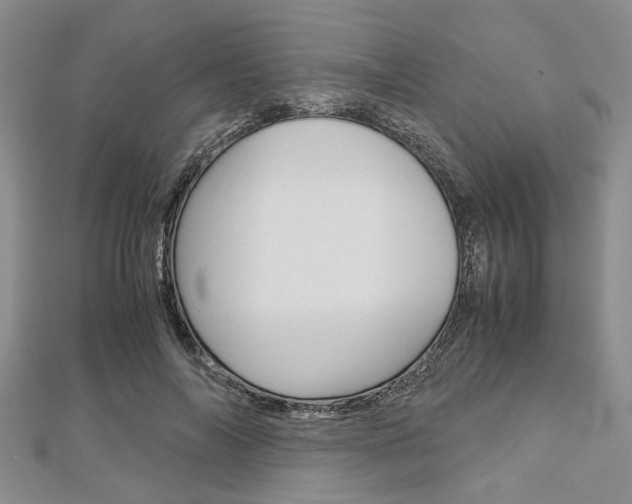 X0000113150694200909040932