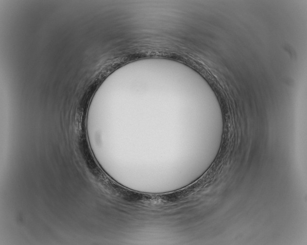 X0000113150695200909040932